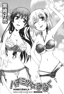 Page 3 of Hachimitsu Milk - Honey Milk