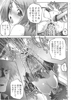 Page 12 of Bujoku Hime