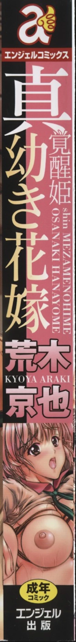 Page 2 of Shin Mezame no Hime