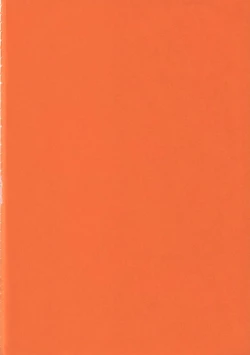 Page 4 of Kingin Pearl Baby