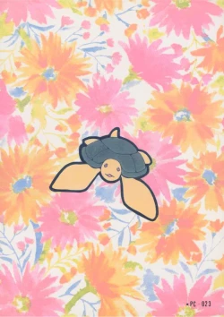 Page 34 of ERO HINA Act 1.0