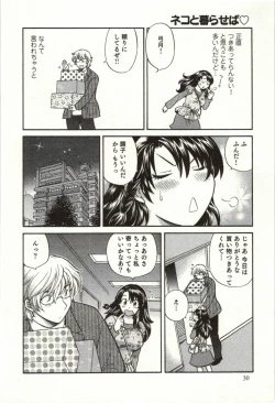 Page 31 of Binkan Oneesan wa Kanjichau