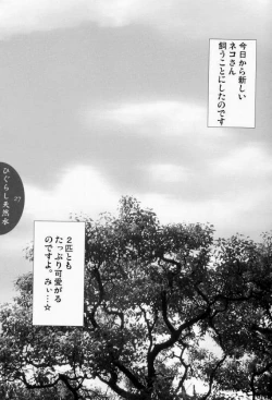 Page 25 of Higurashi Tennensui