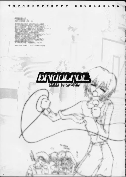 Page 2 of kakekko party