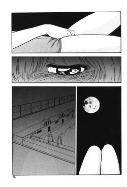 Page 14 of Gekka Bijin