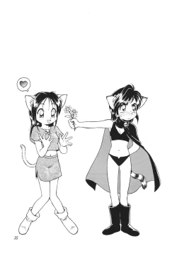 Page 36 of Tokonatsu Neko Nikki