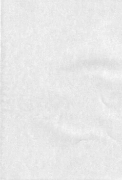 Page 3 of Tokonatsu Neko Nikki