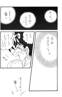 Page 33 of Nichiyoubi No Meitantei