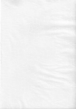 Page 4 of Hen Rei Kai Special Vol. 9