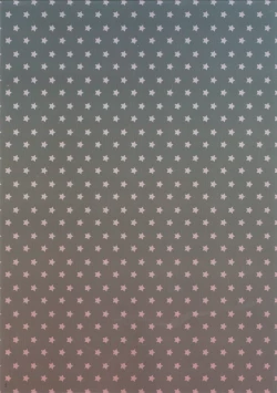 Page 2 of Shokushu x Marisa