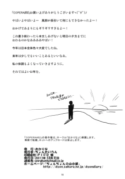 Page 17 of Copera #02