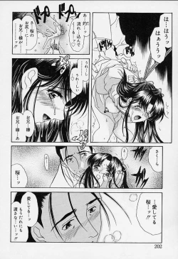 Page 197 of sakura sakura