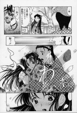 Page 6 of sakura sakura