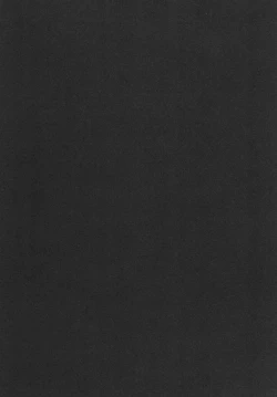 Page 20 of Youmu-chan to Saimin Sex Suru Hon