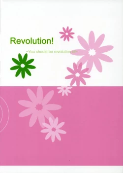 Page 26 of Revolution!