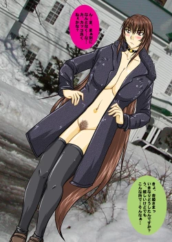 Page 28 of Hyakka Seihou, Hyakka Ryouran