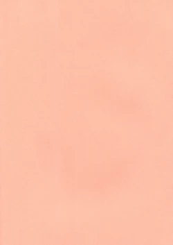 Page 23 of Lolicon Special 4