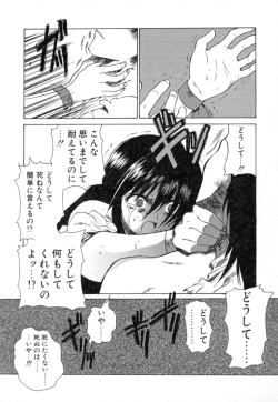 Page 41 of Puripanyu Z