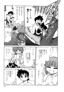 Page 35 of Shin Kyonyuu Kazoku 2