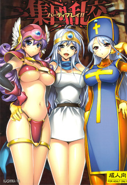 (C81) [Kashiwa-ya (Hiyo Hiyo)] Shuudan Rankou Party Play (Dragon Quest III)