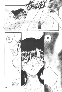 Page 14 of HOHETO 22