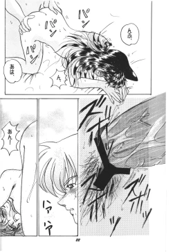 Page 21 of HOHETO  26