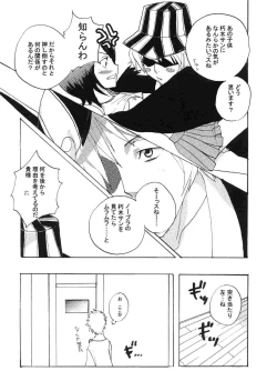 Page 13 of chow-chow