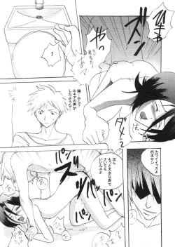 Page 16 of chow-chow