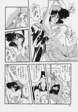 Page 19 of Hiiro no Koku 1