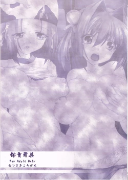 Page 26 of Taiiku Yougu