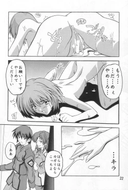 Page 21 of Cagalli Mark 2