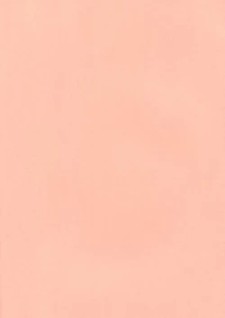 Page 27 of Lolicon Special 5