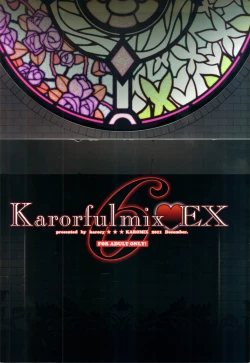 Page 28 of karofulmix EX6