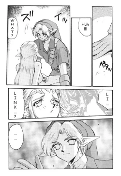 Page 11 of NISE Zelda no Densetsu Shinshou
