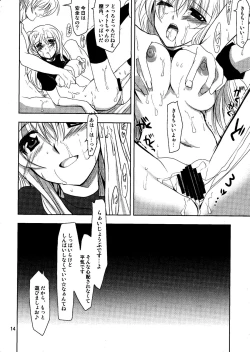 Page 14 of Magical SEED idling