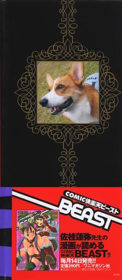 Page 203 of Suirenka