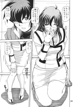 Page 12 of RED MUFFLER M