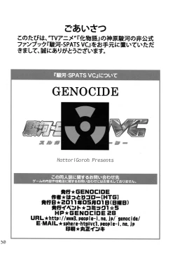 Page 27 of Suruga Spats VC