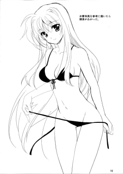 Page 10 of PLUMATION 20110904