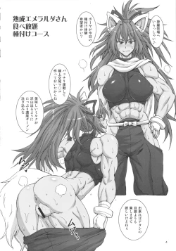 Page 3 of Shinrabokujo Choco