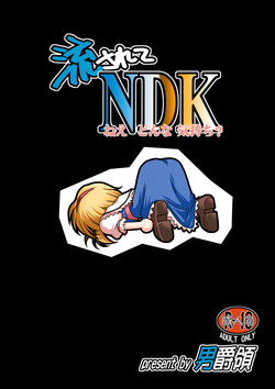 (SC46) [Danshaku Ryou (Danshaku)] Nagasarete NDK (Nee Donna Kimochi?) (Touhou Project) [English] [desudesu]