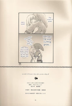 Page 15 of Ero sou de, Ero janai, Sukoshi Eroi Zelda | Quite erotic, not that erotic, a bit erotic Zelda