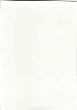 Page 2 of Marisa to Kinoko to Kichiku na Miko