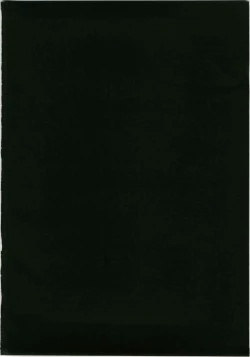 Page 30 of Marisa to Kinoko to Kichiku na Miko