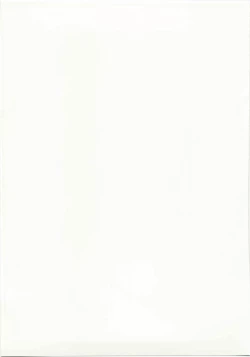 Page 31 of Marisa to Kinoko to Kichiku na Miko