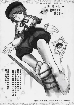 Page 17 of Preludo R