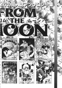 Page 161 of The Henreikai