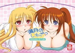 Page 2 of Mangetsu no Shiwaza