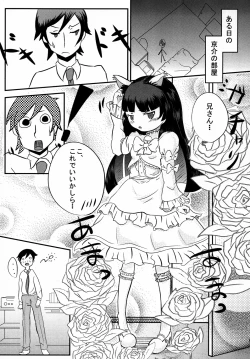 Page 16 of BLACK CAT WHITE CAT