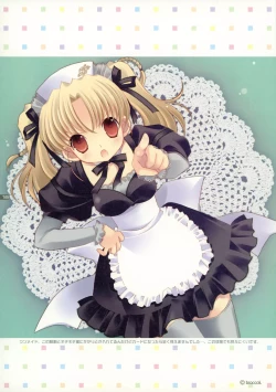 Page 17 of Hakka Atsume 4